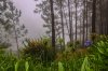 8/IMG_1916 site.jpg